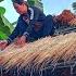 Luckily For DAN TU And The Welder Came To Help Her Cover The Small House With Straw