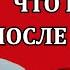 Владимир Боглаев Украину продали с потрохами первый в мире сервис народ Сводки 03 11 24