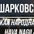 Анна Шарковская Hava Nagila Еврейская Народная песня Цимбалы