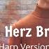 Alexey Baklan Mein Herz Brennt Cover Harp Version Full Cover