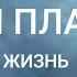 Узнай Божий план на твою жизнь Эндрю Уоммак