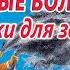 Сказки на ночь про волшебство Сонные аудиосказки Сказки перед сном Засыпательные сказки