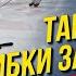 Тактические ошибки защитника Работа над катанием спиной вперед Академия Айсрепорт