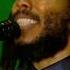 Ziggy Marley True To Myself Live At Exit Festival 2018