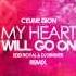 Celine Dion My Heart Will Go On Eddi Royal DJ DimixeR Remix