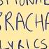 3racha Lyrics That Make Me Question Why I Stan Them Animated