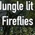 A Jungle Lit By Fireflies Calls Of A Nocturnal Forest