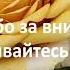 Розы мои новинки цветение первого года которое удивило и восхитило