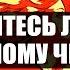 ГОМО ТАРО Нравитесь ли Вы загаданному человеку Расклад для девушек