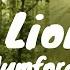 Little Lion Man Lyrics Mumford And Sons