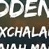 Maxchalant Ft Maiah Manser Forbidden Love Lyrics From After We Collided Soundtrack