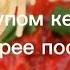 Песня Макароны макароны с кетчупом кетчупом поострее поострее с перчиком перчиком