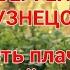 Пусть плачут клёны Музыка и слова Сергей Кузнецов исполняет Елена Савельева Лёха