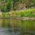 Slaney River Enniscorthy Co Wexford