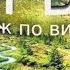 Подорож дикими стежками по витоку ріки Турбат