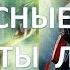 Интересные факты и секреты ЛитРПГ Михаила Атаманова и Данияра Сугралинова