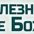 Проповедь Ев от Иоанна 63 Болезнь к славе Божией Алексей Коломийцев