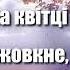 Куди піду куди від Тебе Христоc куди піду караоке плюс