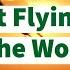 The Highest Flying Birds In The World 1 Flies Among Airplanes