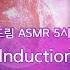 5시간 초보자도 할수있는 루시드드림 딜드 유도 ASMR Lucid Dream Induction Dild 5 Hour 명상 Meditation 최면 Hypnosis