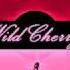 Wild Cherry Hot To Trot From Electrified Funk 1977