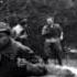 Liberated American POWs Kick Hit And Throw Things At Newly Captured German Priso HD Stock Footage