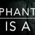 The Phantoms This Is A War