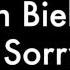 Justin Bieber Sorry Lyrics