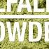 Alfalfa Powder Product Information