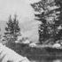 Sierra Club Founder John Muir S Legacy Complicated By Racism