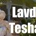 Lavdrim Xhelili Teshat E Synetit Official Video