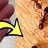 A Natural Way To Get Rid Of Ants In House Permanently In 1 Minute