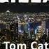 Gilla Tom Cat