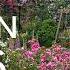 Choosing Roses Arches Pergolas Fences Obelisks Expert Tips For A Gorgeous Garden