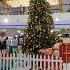 Marina Mall Christmas Celebration Merry Christmas Marinamall Shorts Short Shortvideo Short