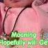 Moaning Baby Newborn Trending Cutebaby Nursery Millionviews Trending Viralytshorts