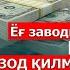 Негатив 446 Ёғ завод лар мафияси Когонлик ёғчи ларни қамоқдан чиқариб олди