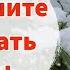 Когда пора укрывать розы Не ошибитесь со сроками