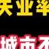 真实失业率剖析 下集 城市不相信眼泪