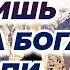 Добро твори терпи не смущайся ни о чем находящем а во всем Бога благодари Назарий Валаамский