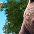 BEAR VIDEO FOR KIDS Educational Wild Animals Adventure By Atrin And Soren In Great Bear Wilderness