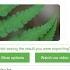 PlantSnap Identifies A Marginal Woodfern Dryopteris Marginalis