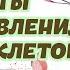 Секреты Восстановления нервных клеток и улучшения работы мозга СВОБОДА ВОЛИ Татьяна Черниговская