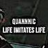 Quannnic Life Imitates Life Slowed Remastered