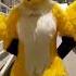 Renamon Fursuit