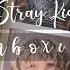 Unboxing Stray Kids Pre Debut Album Mixtape