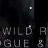 Where The Wild Roses Grow Kylie Minogue Nick Cave Cover