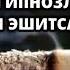 Сигарет ташаш учун депресиядан чиқиш учун аудио гипнозлар бор шуларни эшитса бўладими