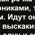 Как две кумы к речке ходили Сборник анекдотов Юмор Позитив