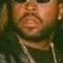 No Vaseline Sped Up Ice Cube